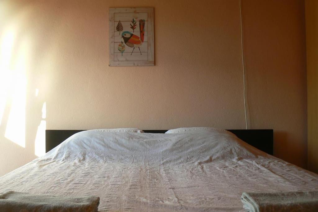 Smiley Apartment With A Million Dollar View Korčula Extérieur photo